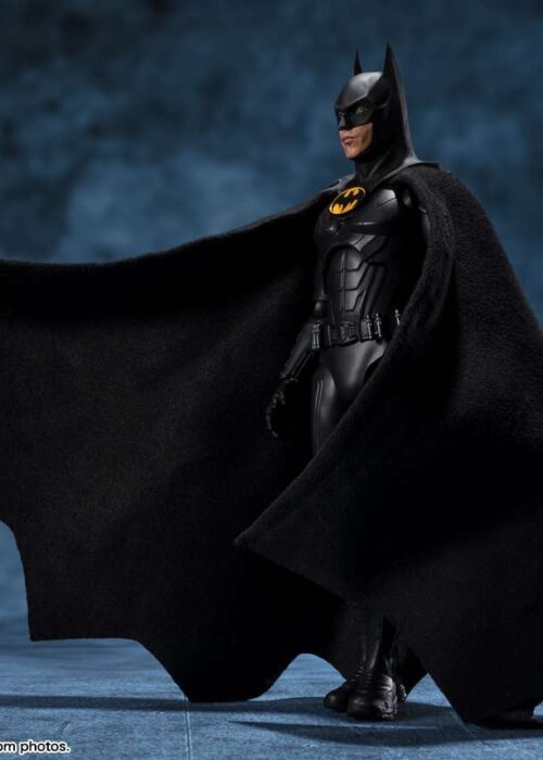 Alternative view of BANDAI S.H.Figuarts The Flash Movie Batman SHF