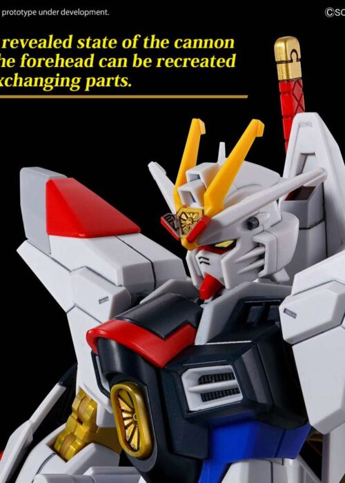 Alternative view of BANDAI HG 1/144 Gundam Mighty Strike Freedom