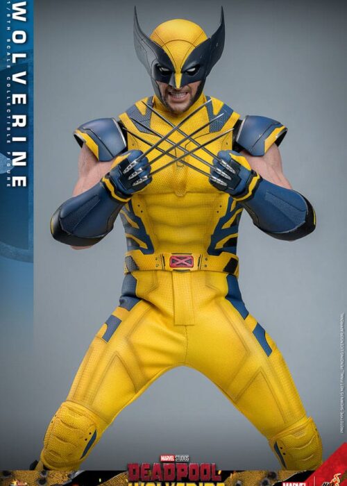 Alternative view of HOT TOYS Deadpool & Wolverine Movie Masterpiece Action Figure 1/6 Wolverine 31 cm